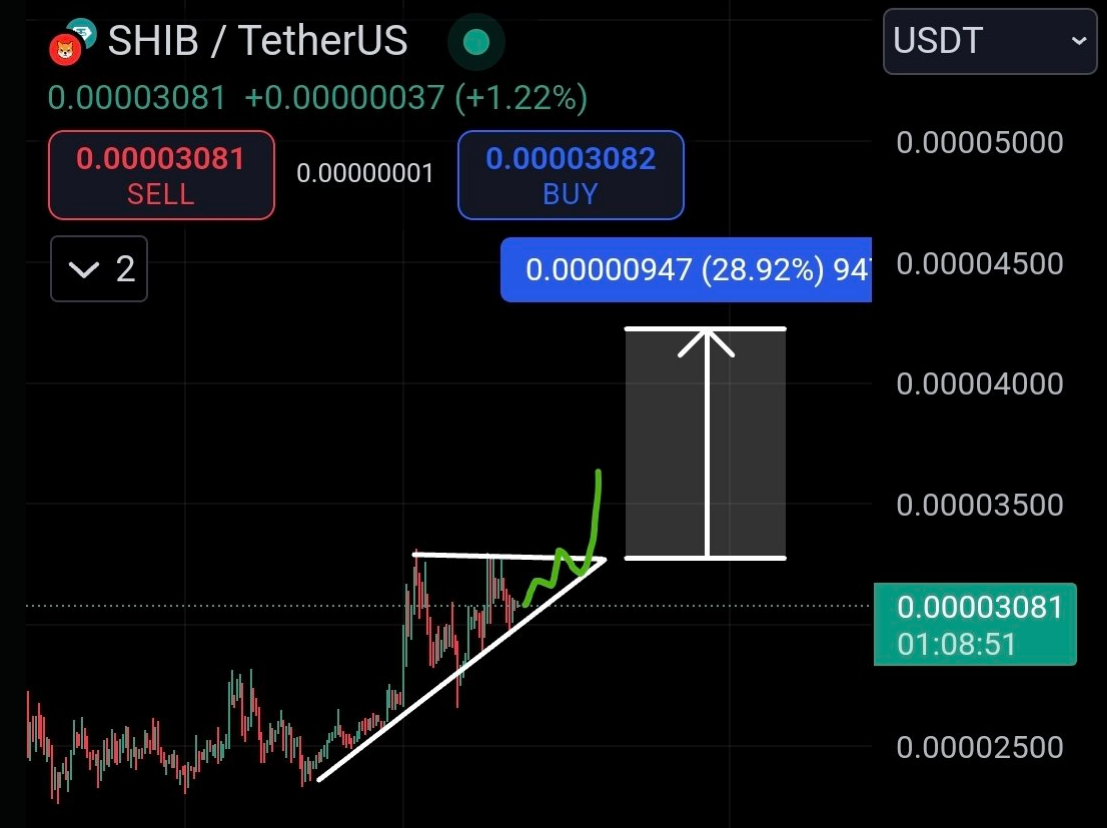 Shiba Inu Braces For Rally Shiba Inu Braces For Rally